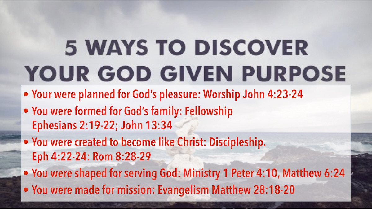 Your place in the Body of Christ6